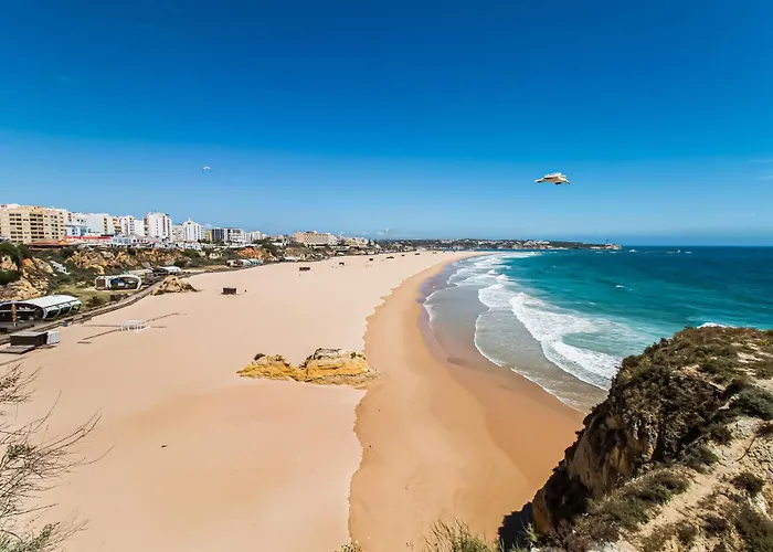 Sunshine Lovers 포티마오