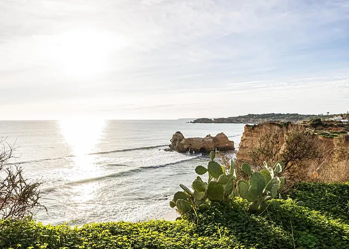 Sunshine Lovers 포티마오