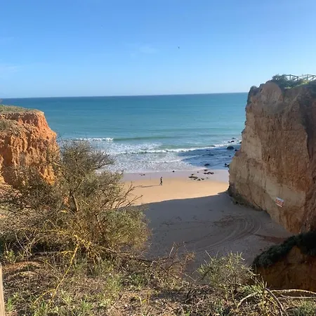 Sunshine Lovers Портиман