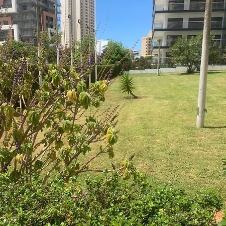 Sunshine Lovers Портиман