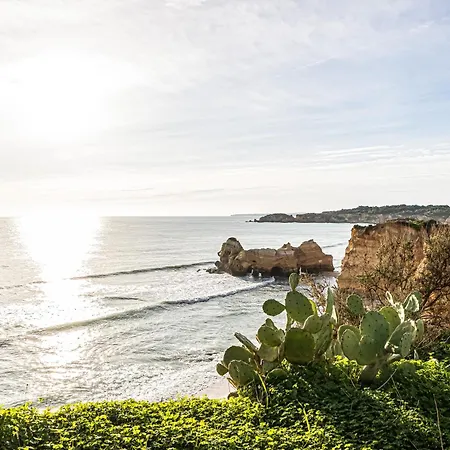 Sunshine Lovers Портиман